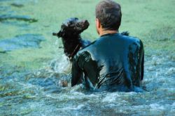 Wasserfreude kennt keine Grenzen, weder für Hund noch für den Führer.