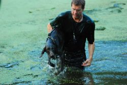 Oh, welch bemerkenswerte Haltung bei Hund und Führer aus dem Wasser.